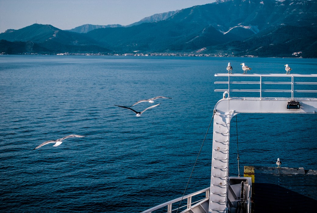 Photoétudes gulls 03