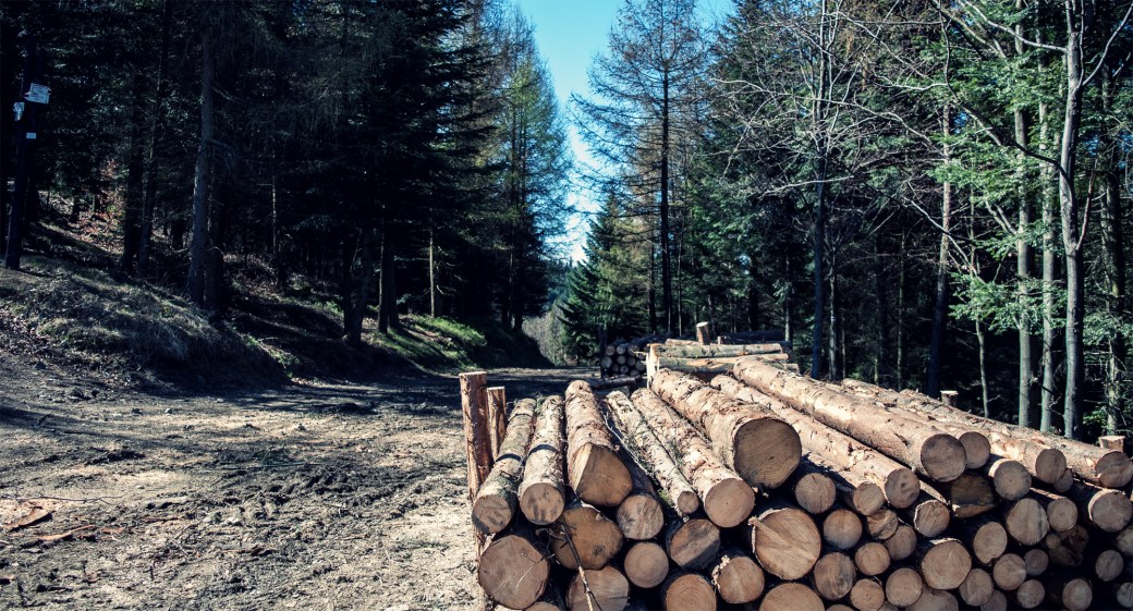 Advantage of mountains (2016) 03.jpg